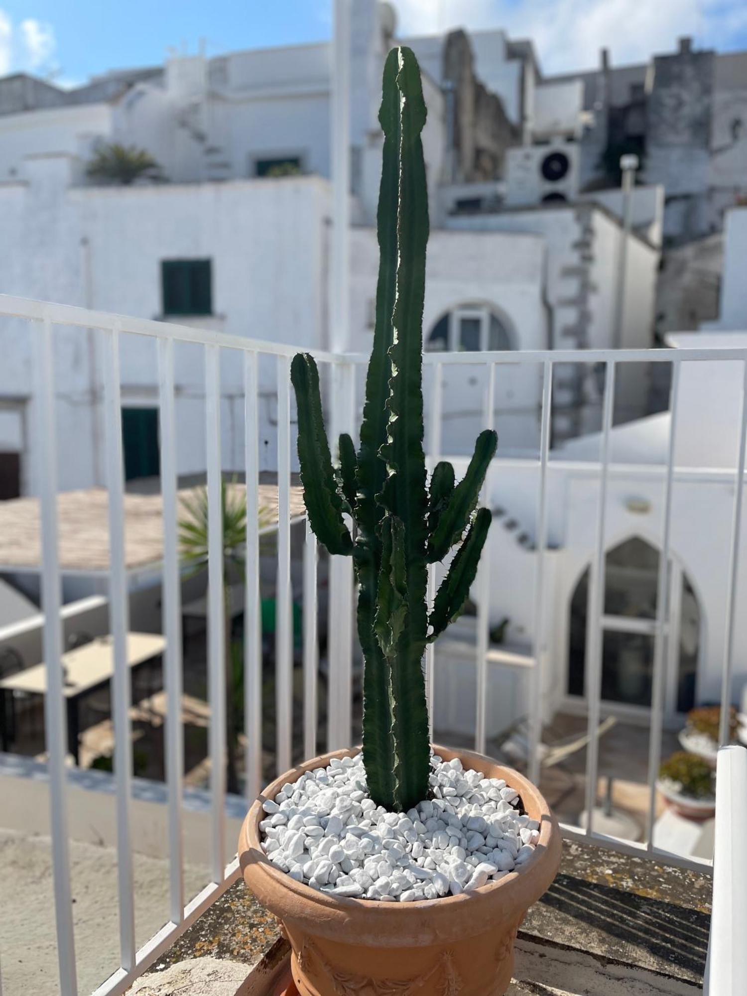 Zinzu - By Tripostuni Holiday home Ostuni