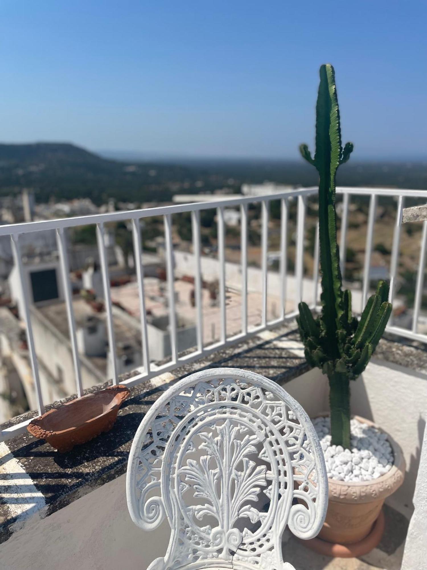 Holiday home Zinzu - By Tripostuni